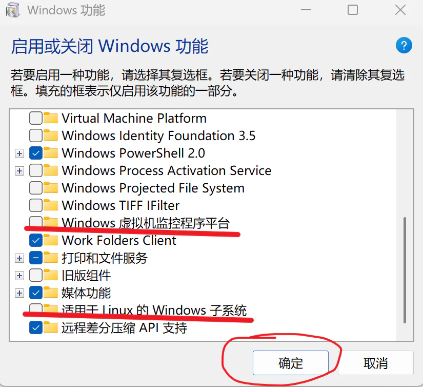 Windows 功能选项